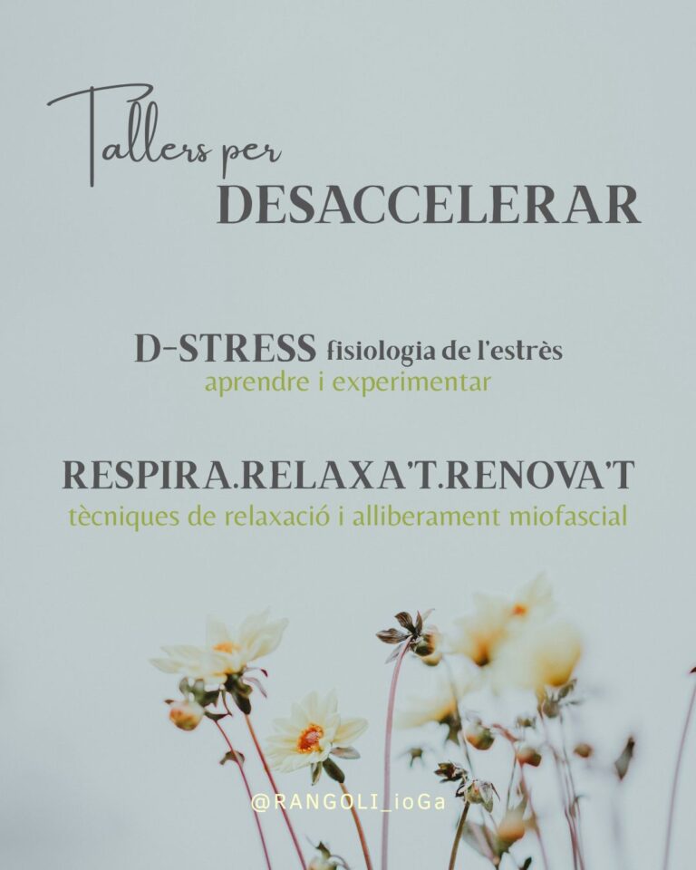 Tallers per DESACCELERAR